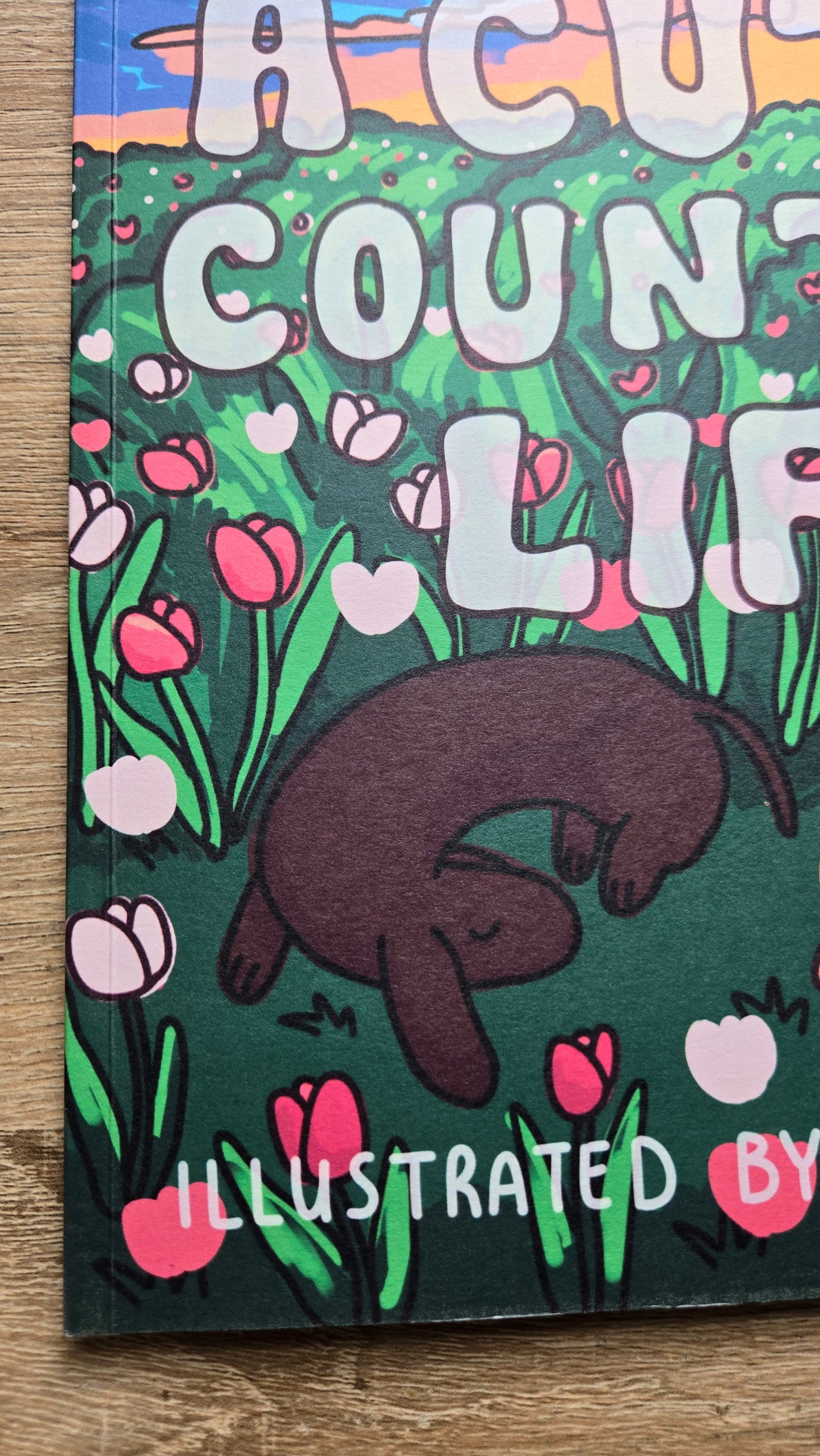 A Cute Country Life Coloring Book (PREORDER)
