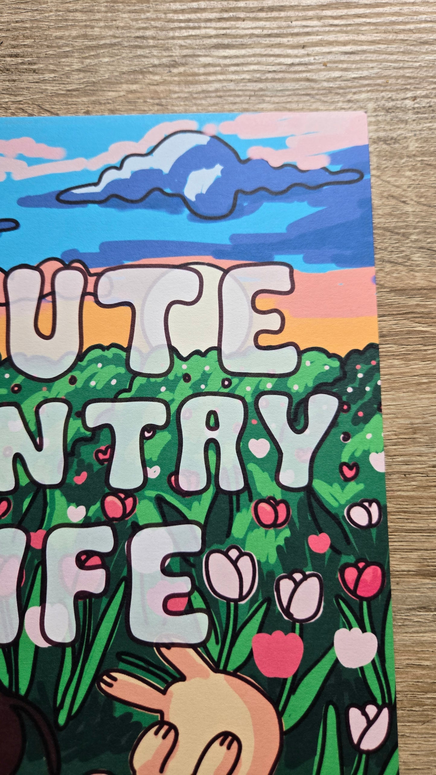 A Cute Country Life Coloring Book (PREORDER)