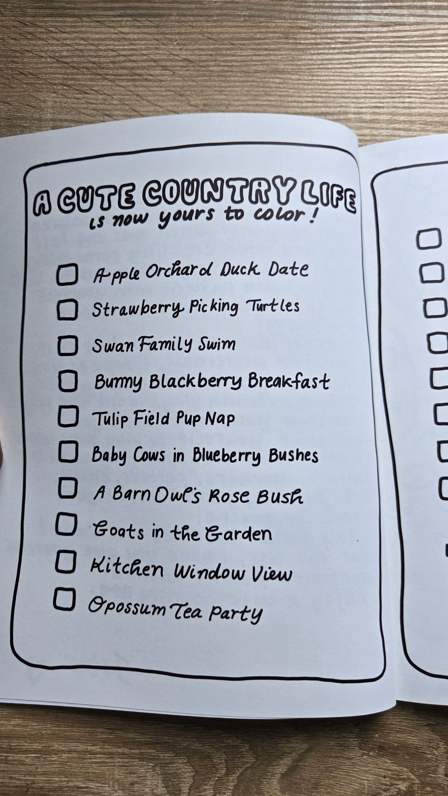 A Cute Country Life Coloring Book (PREORDER)