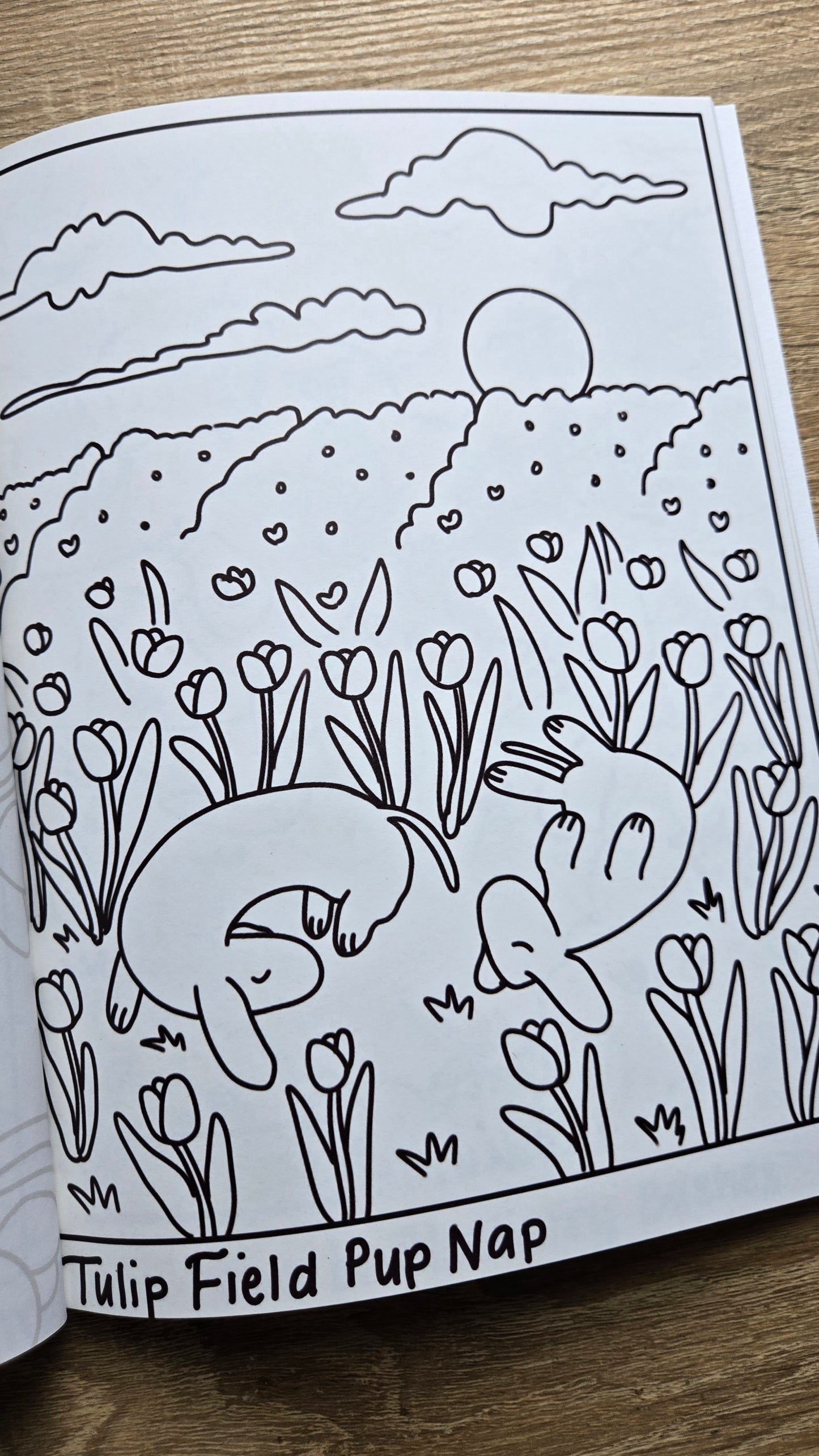A Cute Country Life Coloring Book (PREORDER)